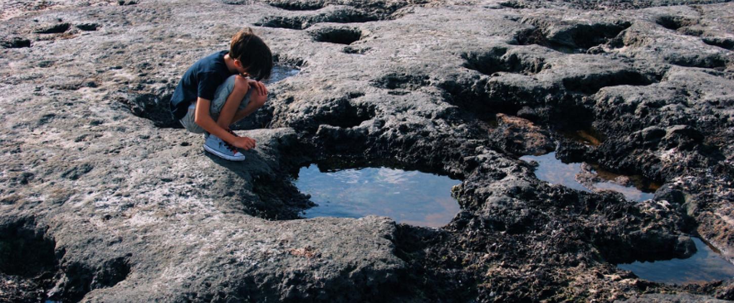 Walk Blackrock Beach | Florida State Parks